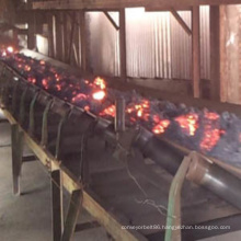 Heat Resistance Rubber Conveyor Belt for Coal Power Plant